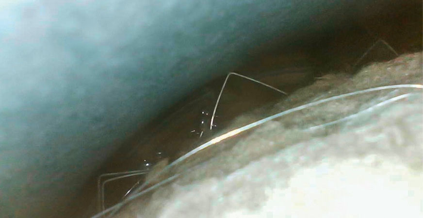 Dünne Kondensatschicht auf der Innenseite des Ummantelungsbleches (Kamera im Luftspalt).