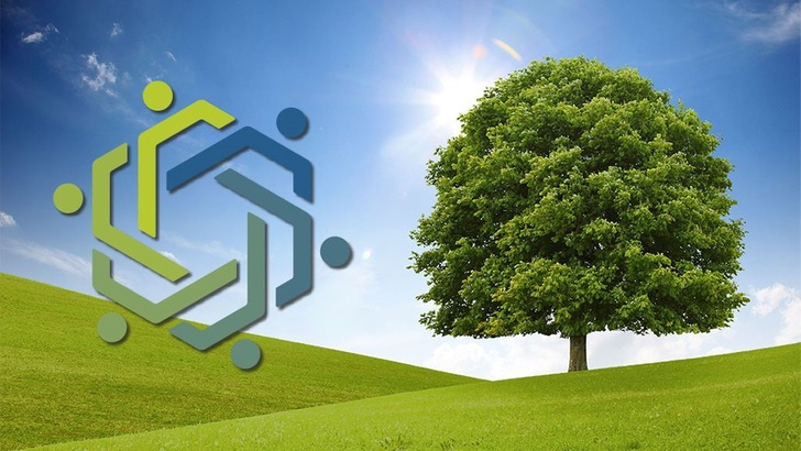 Belaubter Baum auf grüner Wiese