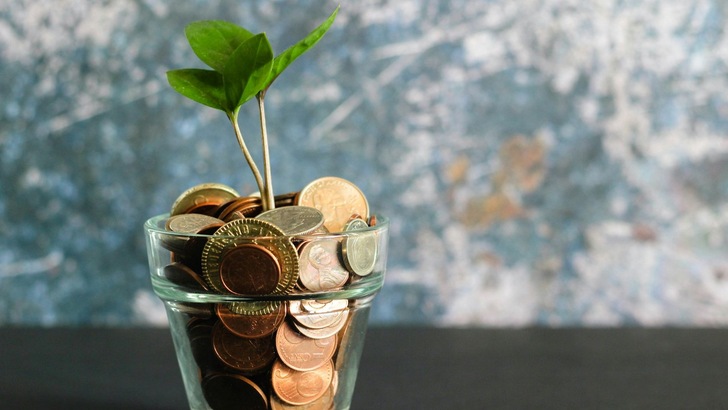 Symbolbild: Ein Glas gefüllt mit Geld und Pflanzensteckling - © Unsplash, Micheile Henderson