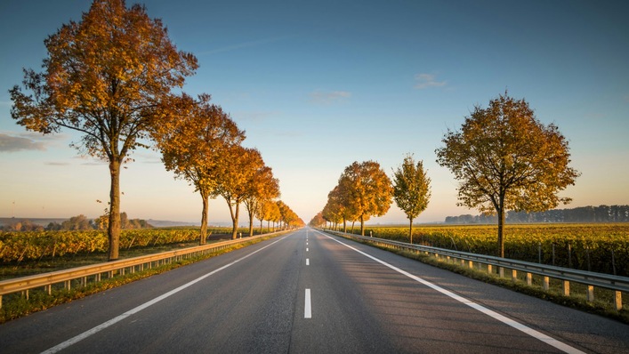 Eine gerade Landstraße, gesäumt von Bäumen mit herbstlichem Laub, erstreckt sich in die Ferne unter einem klaren blauen Himmel.